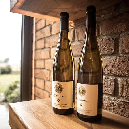 호텔 Classensis 라벤나