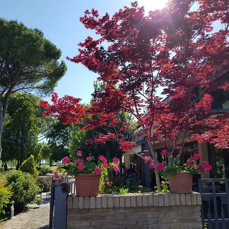 Classensis Ravenna
